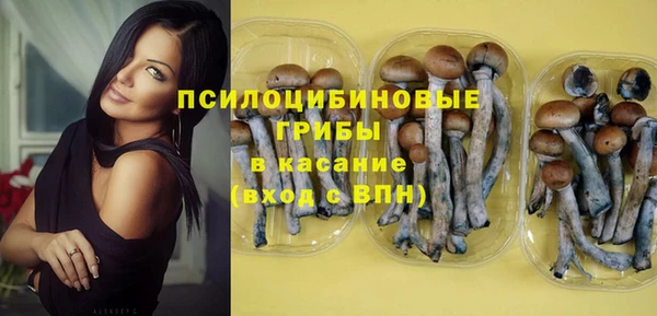 спайс Алексин