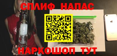 сатива Кулебаки