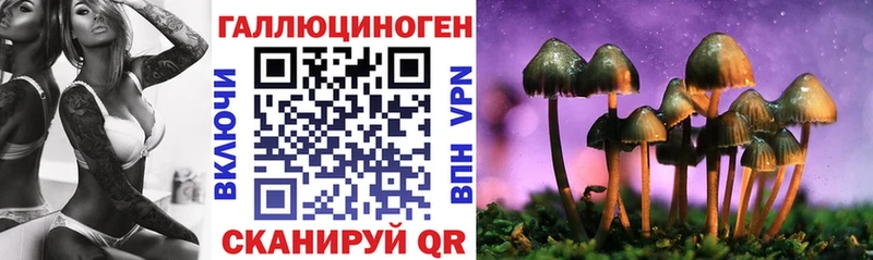 наркотики  Ступино  Псилоцибиновые грибы Psilocybine cubensis 