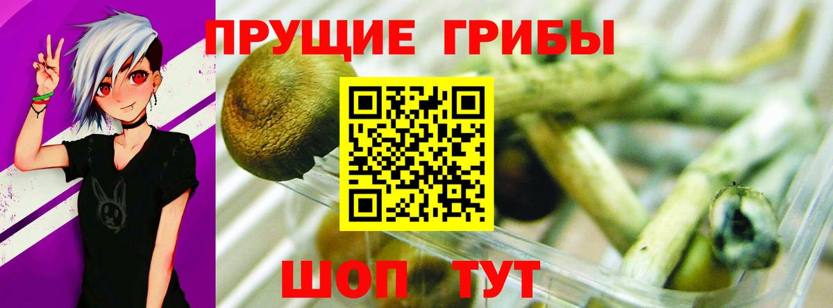 Галлюциногенные грибы прущие грибы Ступино
