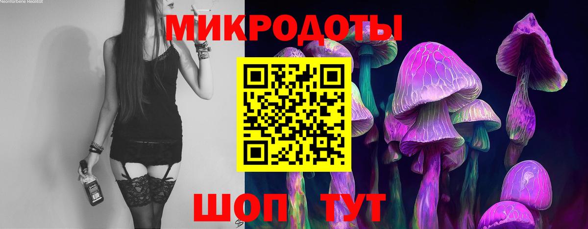 Псилоцибиновые грибы MAGIC MUSHROOMS  Псилоцибиновые грибы мицелий  Ступино  Вход с VPN 